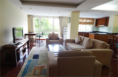 02 bedroom apartment for rent in Xuan Dieu street,luxury furnished