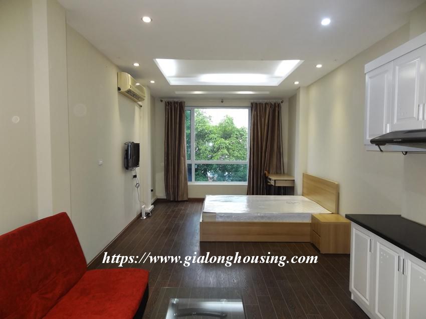 Studio apartment for rent in Nguyen Khac Hieu 1