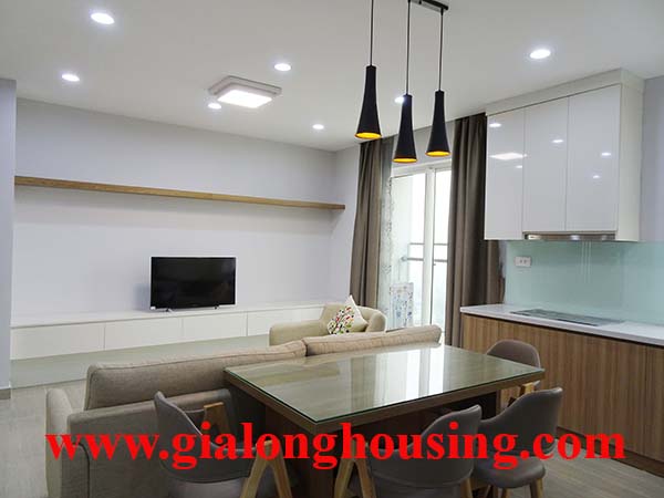 Brand new two br apartment with full furnished in L3 for rent 1
