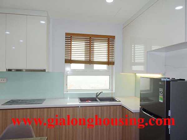 Brand new two br apartment with full furnished in L3 for rent 3