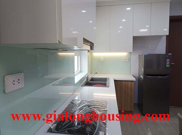 Brand new two br apartment with full furnished in L3 for rent 4