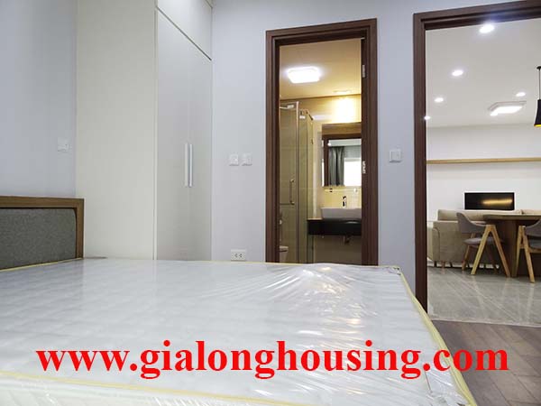 Brand new two br apartment with full furnished in L3 for rent 6