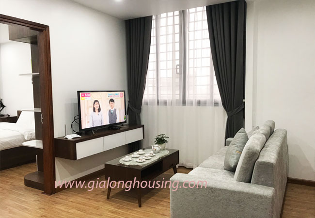 02 bedroom apartment for rent in Phan Ke Binh street, nice furnished 4