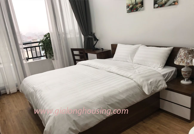02 bedroom apartment for rent in Phan Ke Binh street, nice furnished 6