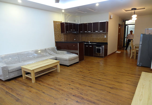 Brand new apartment in Dang Thai Mai for rent 