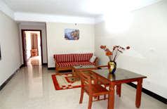 Bright apartment in Hoang Hoa Tham for rent 