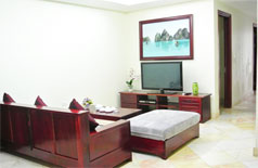 Luxury apartment in Mayflower Bui Thi Xuan for rent 