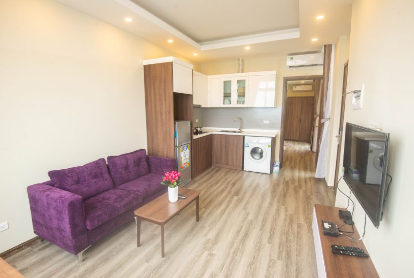 Nhat Chieu one bedroom apartment for rent 