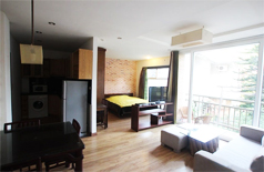 Nice furnished apartment for rent in Dang Thai Mai street,Hanoi