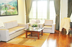 Serviced apartment in Le Thanh Tong street, high floor good view 