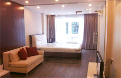 Nice studio apartment in Mac Dinh Chi street for rent 